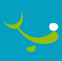 logo_vzwdolfijn
